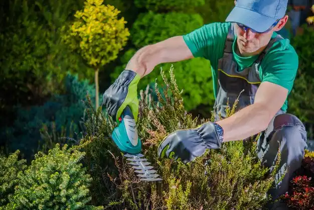 landscaping services Hide-A-Way Hills
